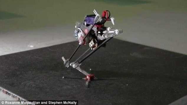 美大学研发迷你机器人 可弹跳至10倍身高